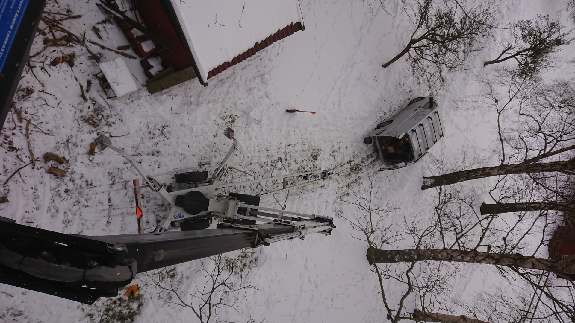 Trädfällning med skylift — Trädfällning