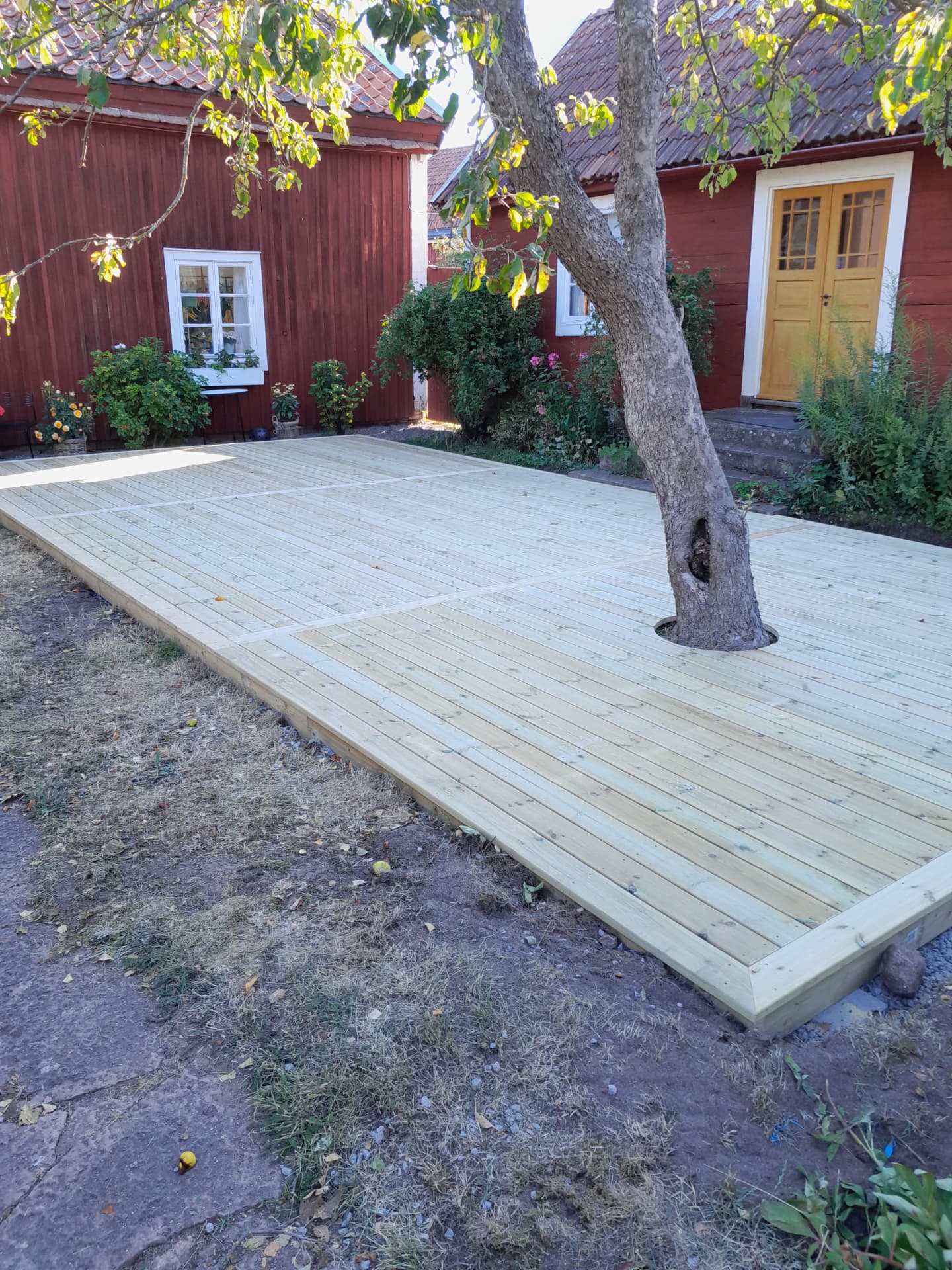 Trädäck byggt runt äppelträdet — Altaner